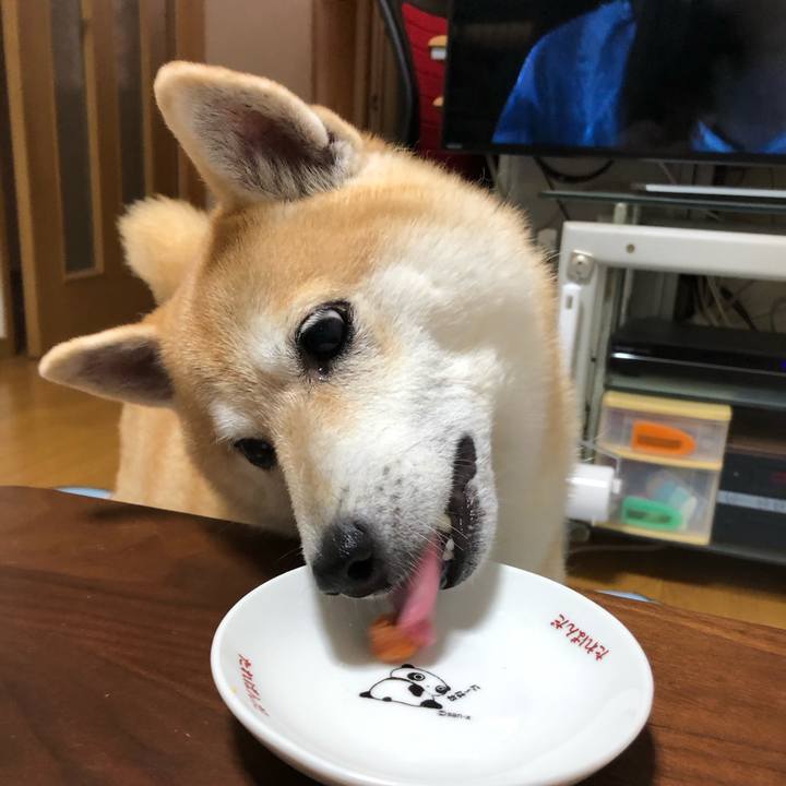 91e627cb 95dd 4321 98bb 95883213cca6 1571065613618