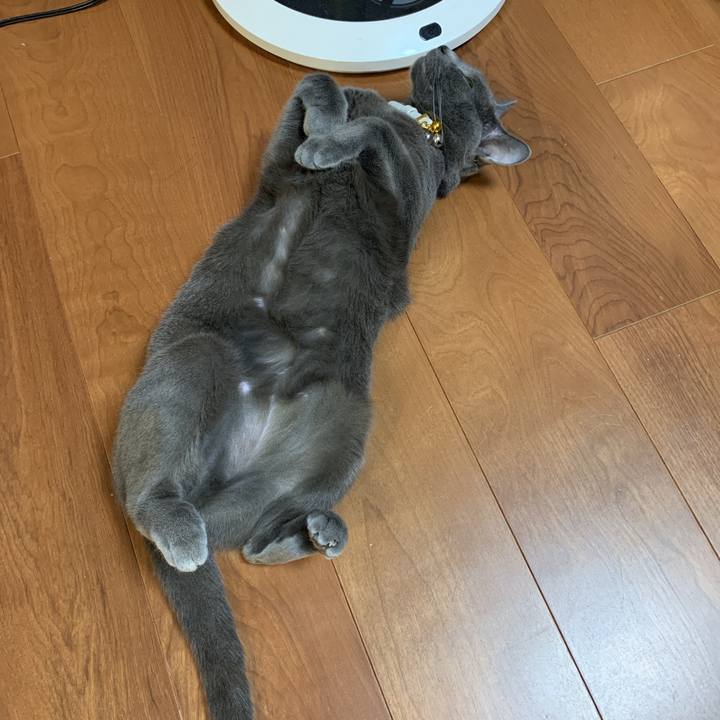 91e62cbf 1046 4abc 9ceb a24249b4df11 1622782118156