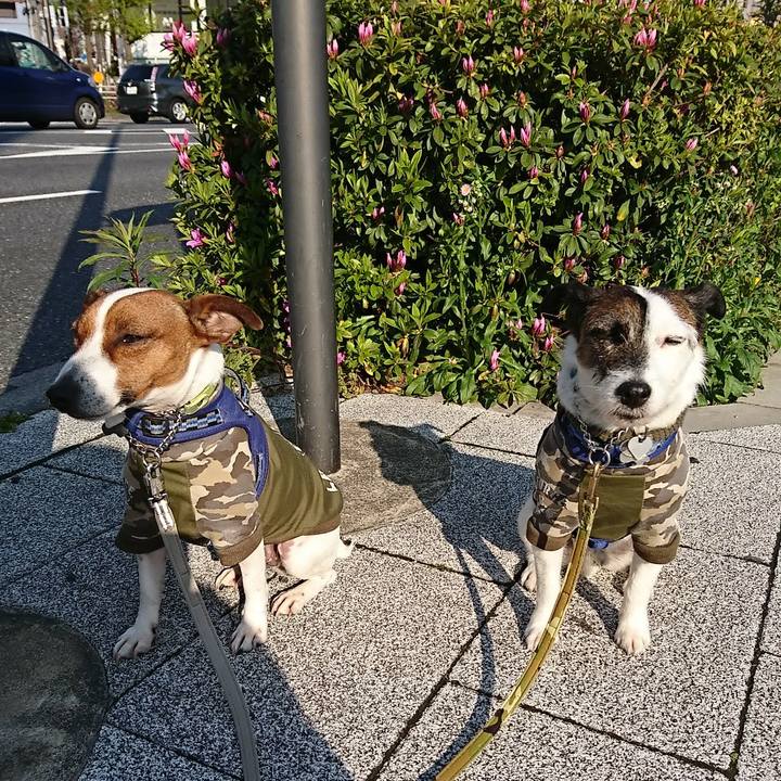 91e64439 10ea 4c00 ac29 96e23de10616 1586903691087