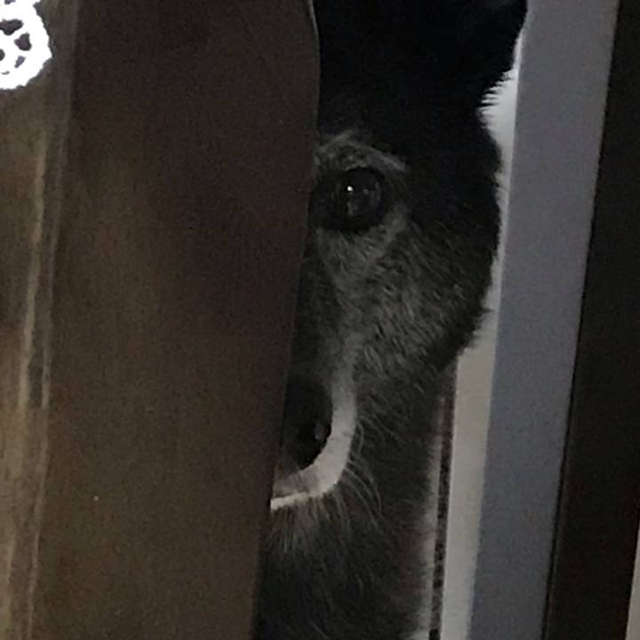 91e654b2 9c12 4601 ad50 967730f231c1 1602421922934