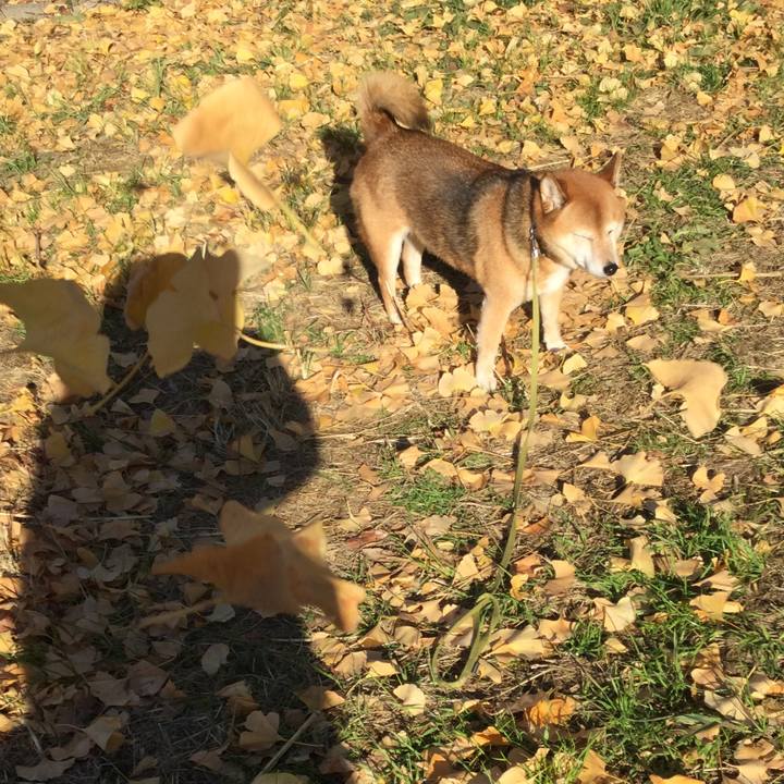 91e66363 a7b8 4c0f 8182 bcab6a3c3daf 1607391260915