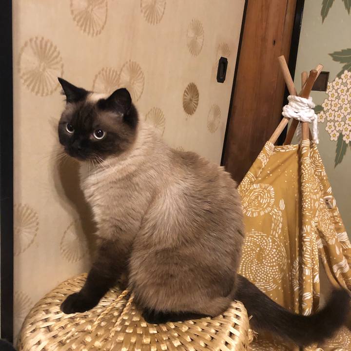 91e67988 cfbb 4b78 96af 41ee00aed1a1 1626478799669