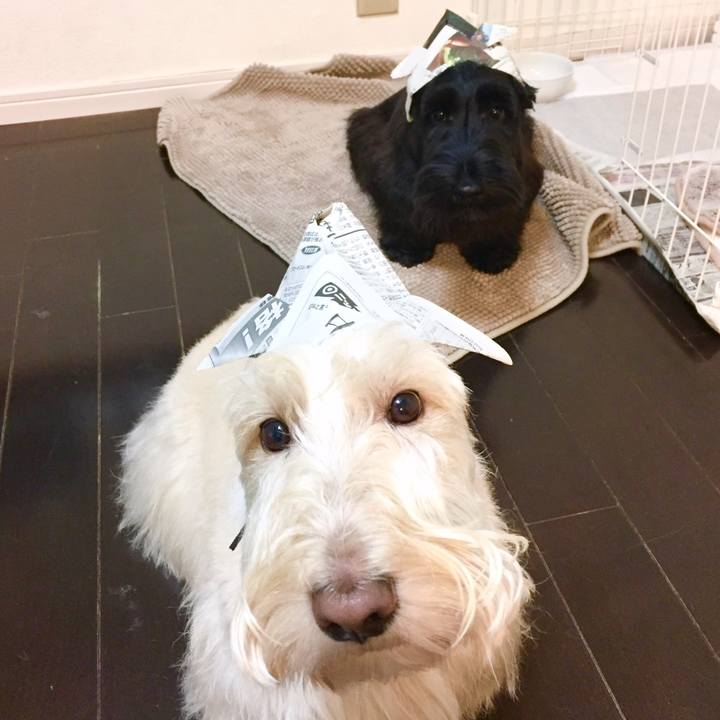 91e69679 aa58 419d a812 3d30284b70b7 1588640884754