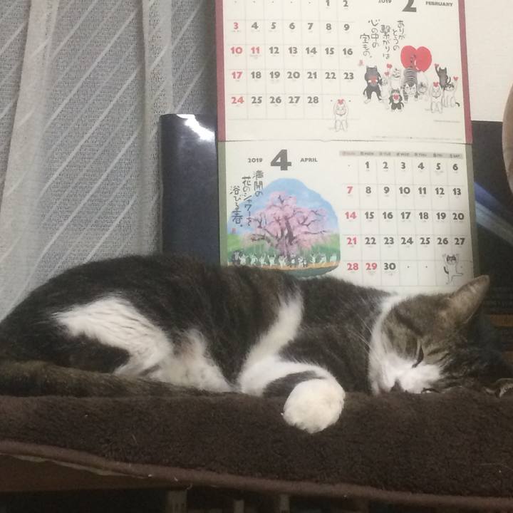 91e6ad66 0bcb 45d8 8c07 4f7a3fd5c0a2 1550068882245