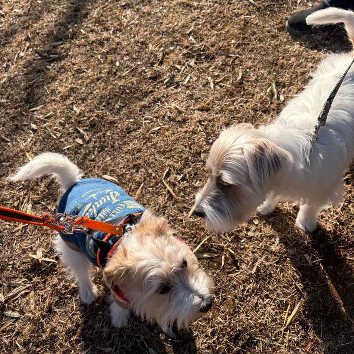 91e6b0c8 4a65 4203 8c27 20454f1fe78f 1769232589362