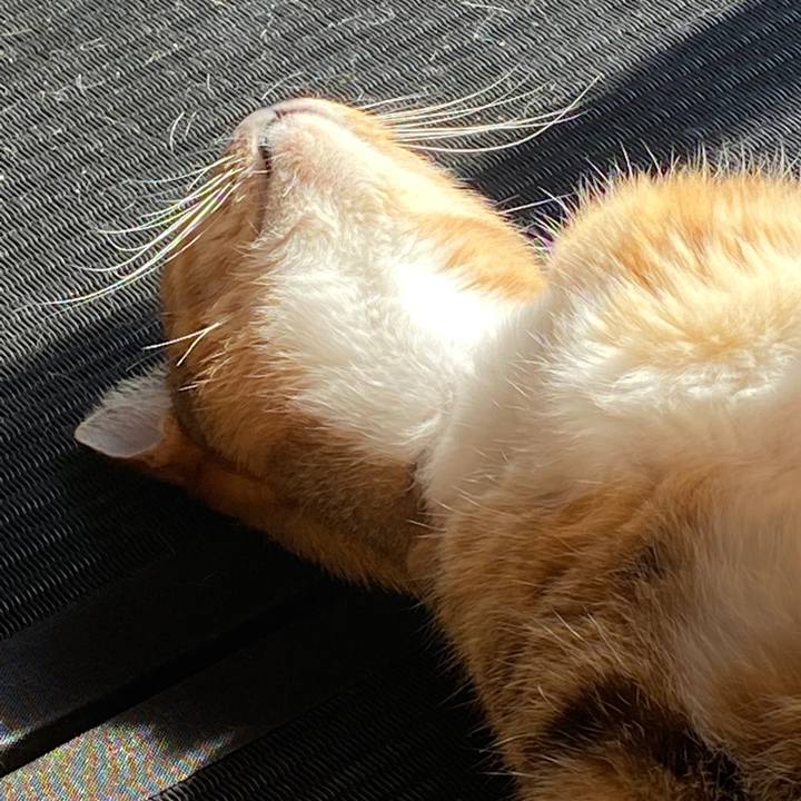 91e6e1da 5289 4942 8c9c 00b54b50ed37 1579487866852