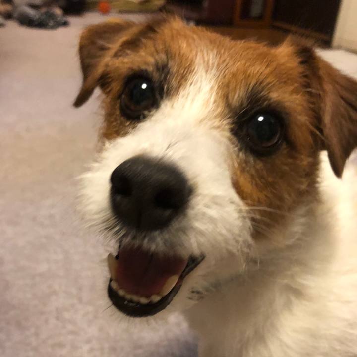 91e700f0 a471 4b7f a1e4 0649dd5b2d70 1561242668584