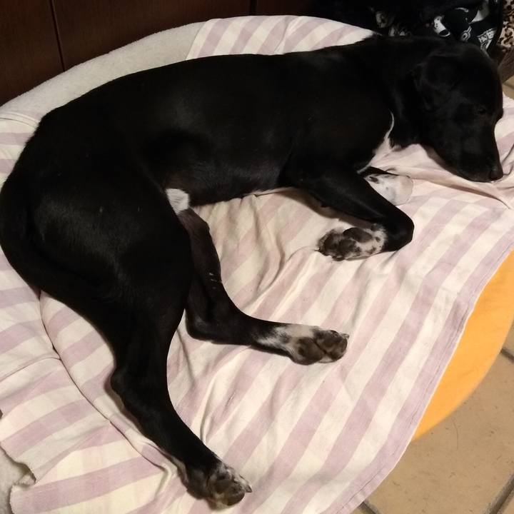 91e7137b 6ff0 43b6 9954 74f0ef5d4b1c 1582248276221