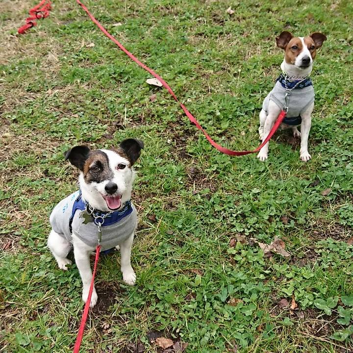 91e71ba9 ab35 40a9 94dd 409f35b61d19 1580010697917