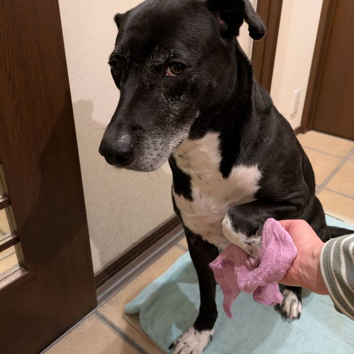 91e73b1f 7fc2 4734 ab33 f7af8ec83b6d 1737197016933