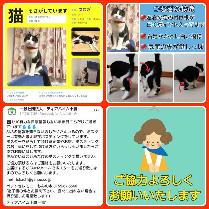 91e73c71 0b52 45ff a1a0 309eac1fbc8a 1610270479664