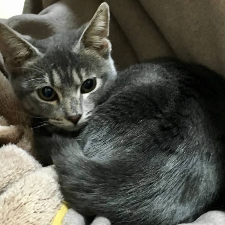 91e7ee88 7096 4463 91c2 444c100f64a6 1514981530180