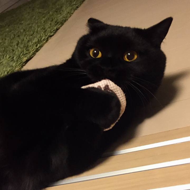 91e82467 48e9 475c a437 84e8b38a51ae 1532172284466