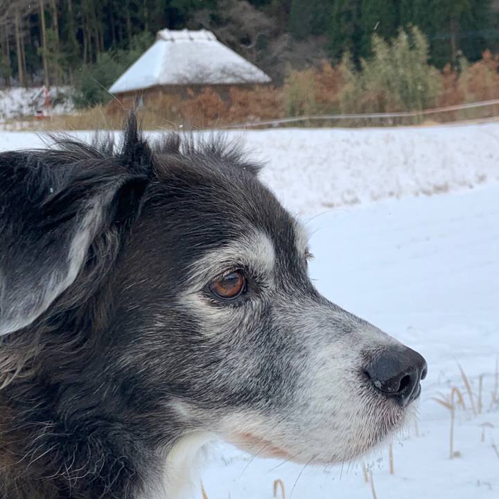 91e831c2 f9bc 4654 b508 b3fba6083a2f 1582033090318