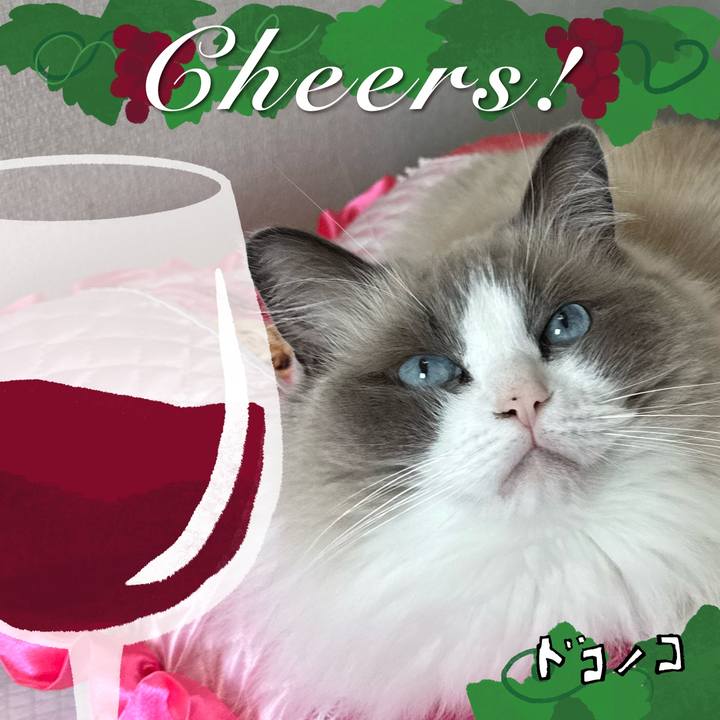 91e86cd2 9ce3 4e9e 9ea7 bc16eafd019e 1763289604182