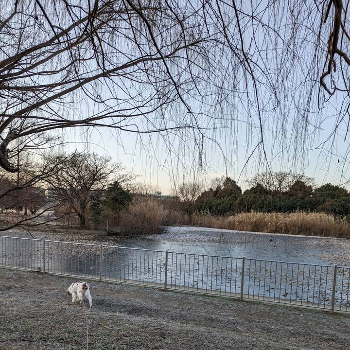 91e8ccab ffc6 4a37 a3f7 25cbc9dc8df0 1676595486579