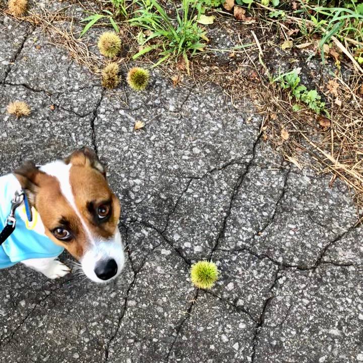 91e8dcfa 04e7 4373 9688 e87097e02b7d 1599903131540