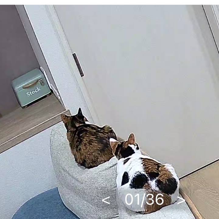 91e8f6fc a124 42c2 b73d 1becb49cbc99 1774604335492