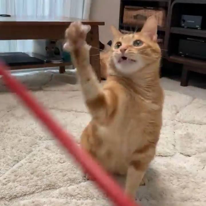 91e96a5e 766a 4946 9889 19629d40775a 1627097665428