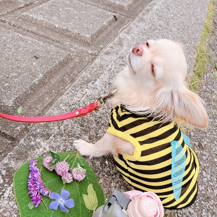 91e974b0 9879 4be4 aae0 3e591e2dc254 1652959022298