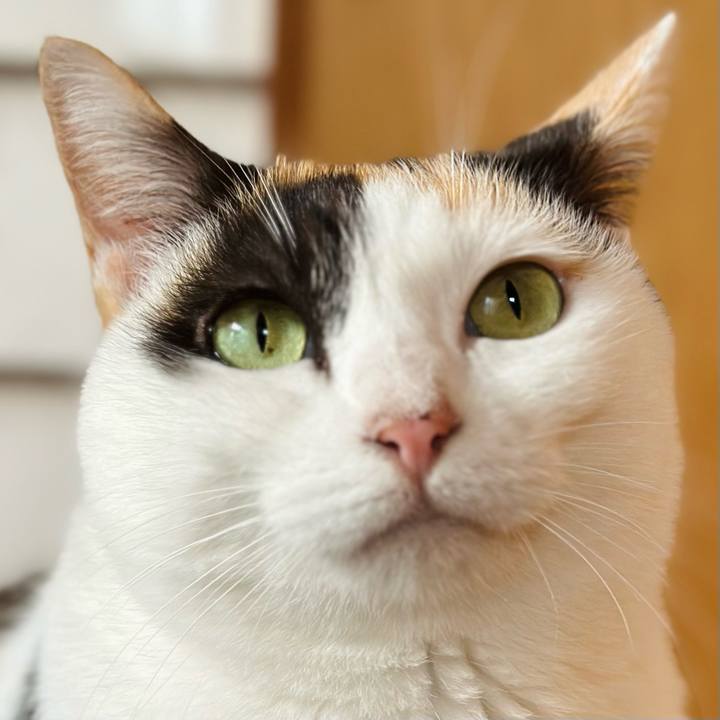 91e99fd2 2baf 4635 aea0 11d5eadc99ac 1669683639084