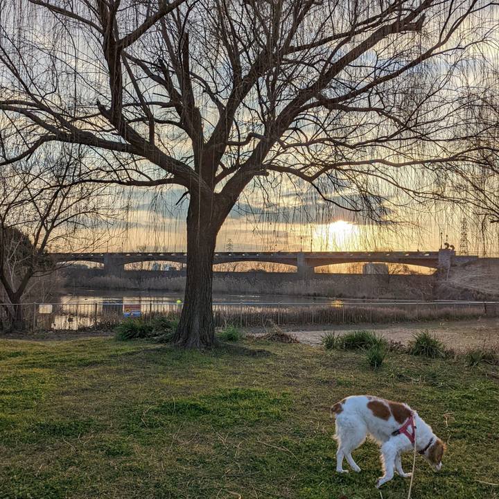 91e9bc6c 9dad 4c3b 9668 271ebc41d344 1644837603583