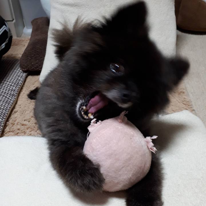 91ea0fb8 b3a5 42a0 9dd7 fb1dc244759d 1542587658575