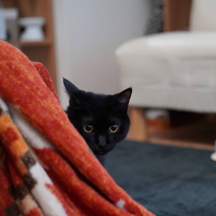 91ea16d5 f8bf 4583 a267 04f2ece253a1 1576022191449