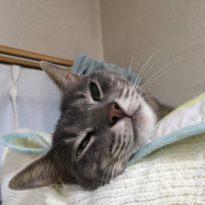 91ea44a7 8f79 4661 9812 5c6b2721157d 1592992647450