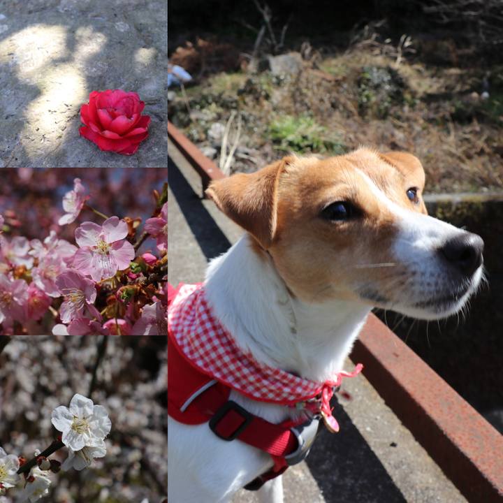 91ea4713 e13e 4648 8c3f 8876be8fe4f2 1520057050707