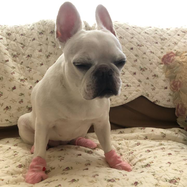 91ea6042 eb97 450a ae79 12532710b3ab 1664081903079