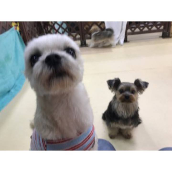 91ea77a4 2c96 43b6 950d e25817f809a0 1572344605512