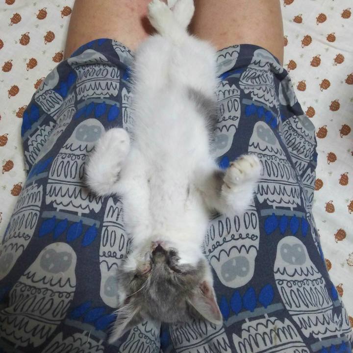 91eac3f6 d03d 4141 aad0 c947a62f8f3e 1528163502761