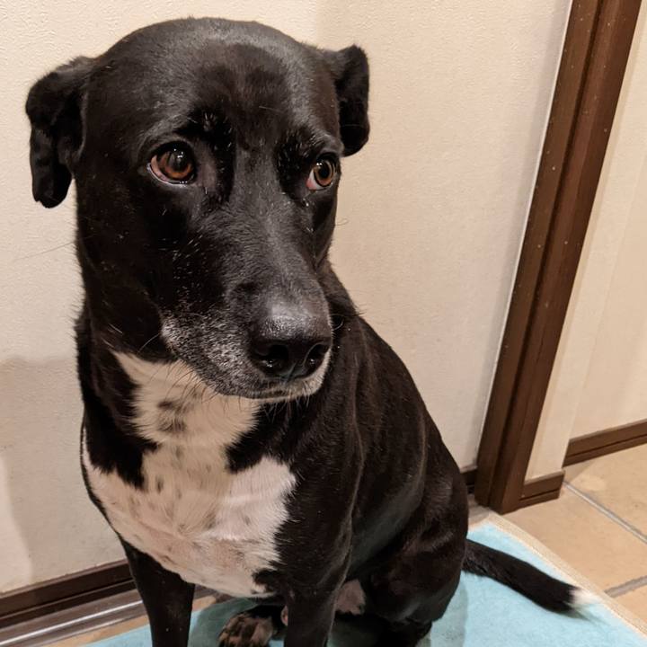 91eb0634 bcba 4a63 92a6 37a05a89deab 1671360637732