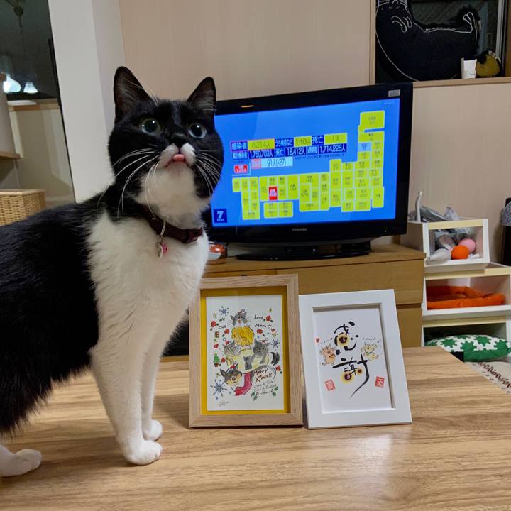 91eb100e b0f2 418d b17c 6dfc04e7bb82 1641564289634