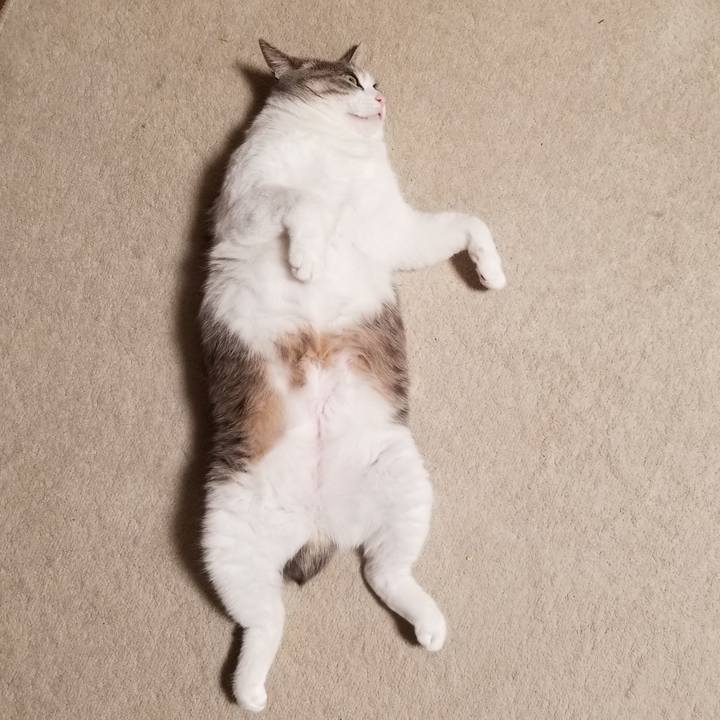 91eb3f45 9a92 4dae a7aa b46f024a00ca 1613462608506