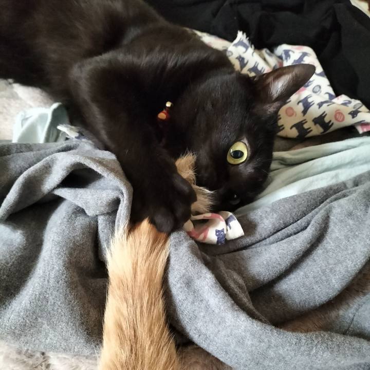 91eb5928 ce2a 49c3 86ed 396e4f53c927 1643500813029