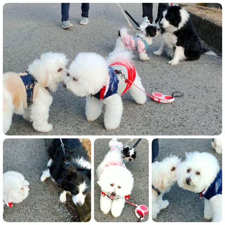 91eb5a8d ef33 4fe6 a231 e80639291e5f 1770374065849