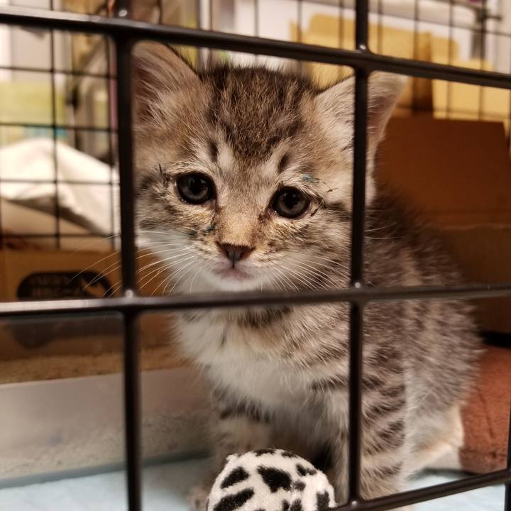 91eb6a99 b9f0 4fd4 b30d 22538112aca0 1660832540581