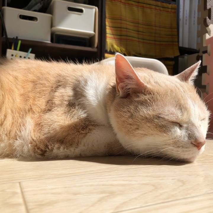 91eb844a 08cf 4bad 8d96 7706e68685c1 1618706050302