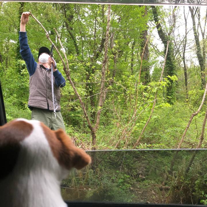 91ebebd7 b79b 45e0 8e1b 16b19cb53dee 1619426976736