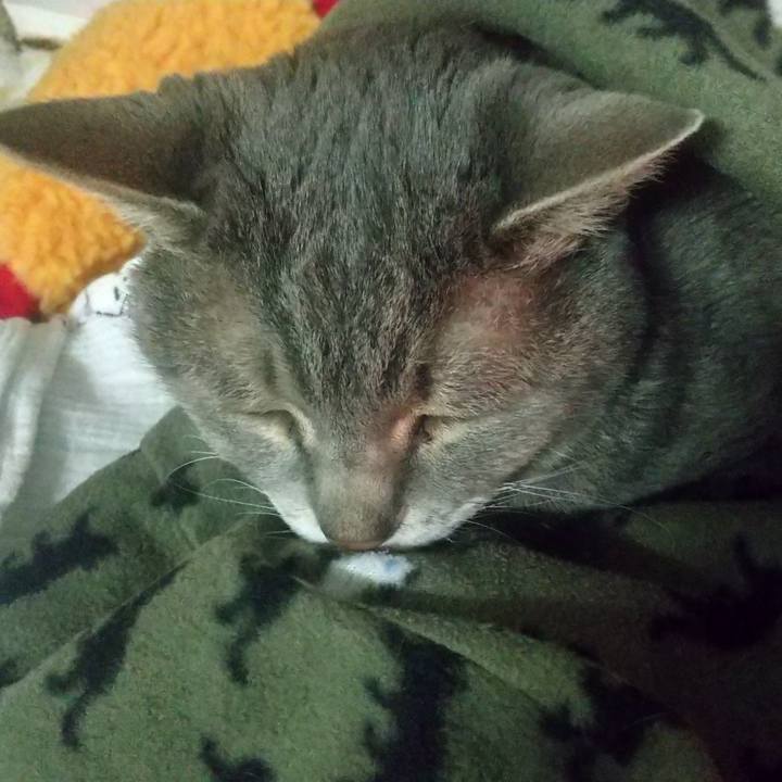 91ec0ca5 0efc 489d b4fd 54b07c68b0d0 1706407336509