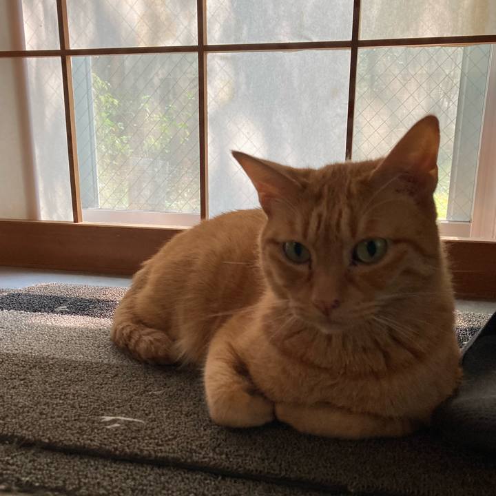 91ec409e 5a95 4036 992a d6ed8c303b5e 1691410299461