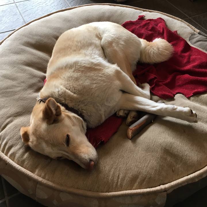 91ec7cba b374 41e7 8ac1 c3f3a6da82cd 1523072363739