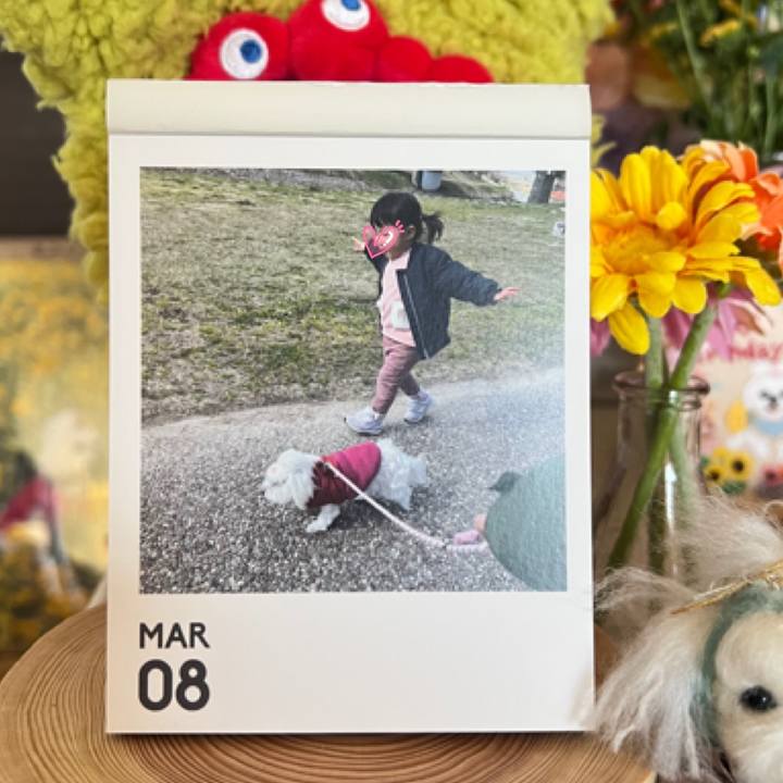 91ec8f6d 2819 4fc1 be37 b8109365fa68 1772975902884