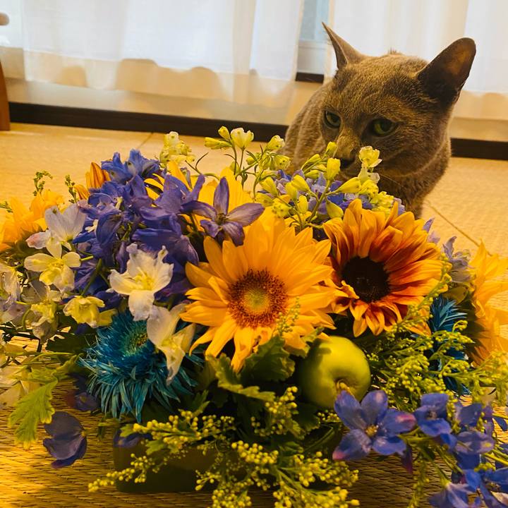 91ecb5f8 0a0b 46fd b56d c4eeb446b817 1627287776068