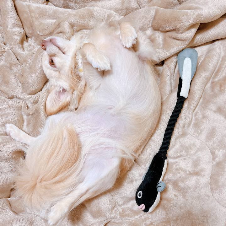 91eceeeb 869d 4c9c 87b9 cbcb5146da49 1653216384126