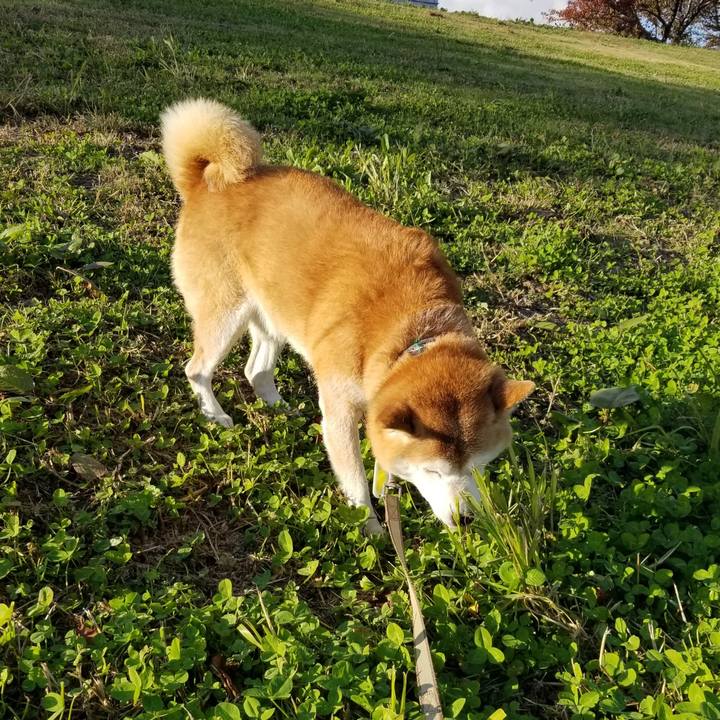 91ecfb88 0ddc 416a 9777 66a5eab6a503 1667367892477