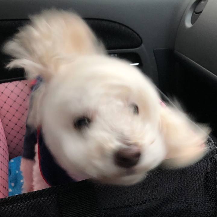 91ed0136 4afc 408e 8d3f b72bf6fbcd09 1538184207037