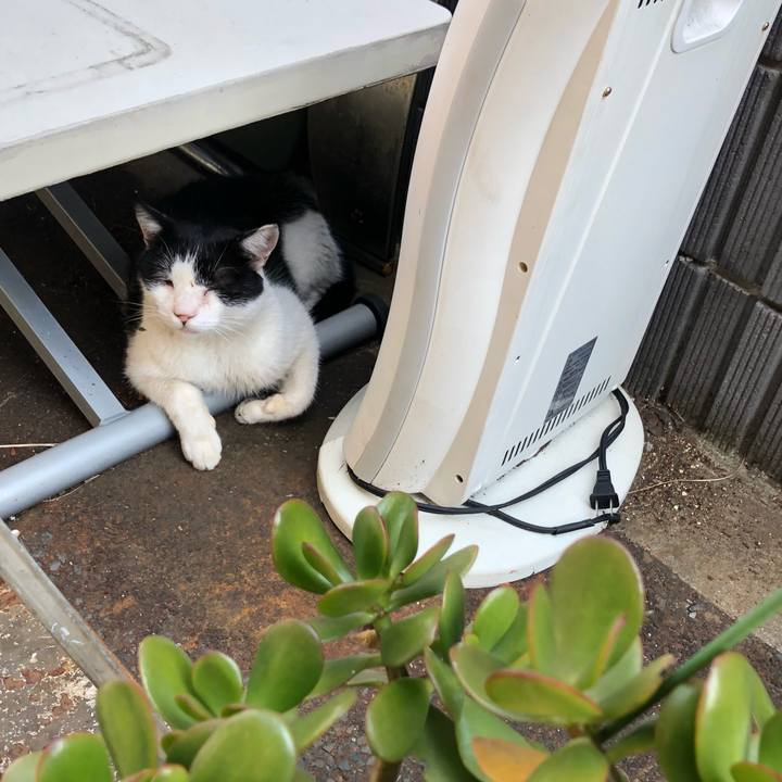 91ed05dc 35c4 40da 985d 571270a63c06 1627887163252